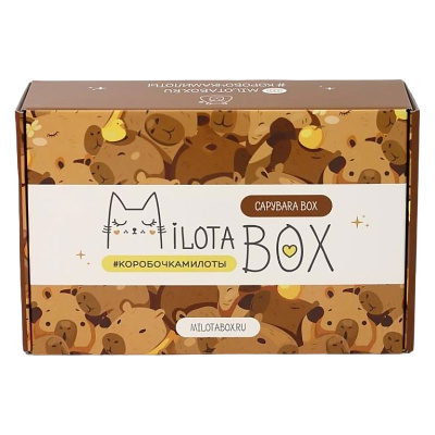 Подарочный набор MilotaBox Capybara Box iLikeGift MB128 01